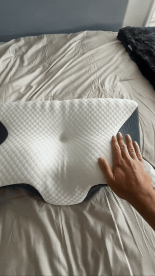 The Butterfly Pillow™ by Veralova