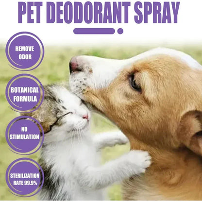 Natural Deodorizer