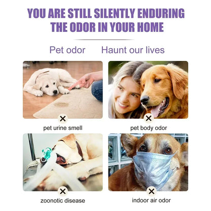 Natural Deodorizer