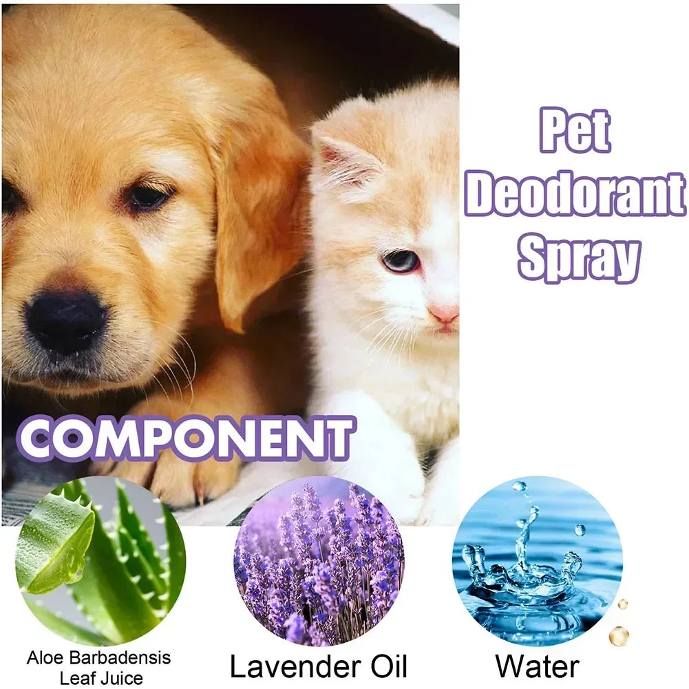 Natural Deodorizer
