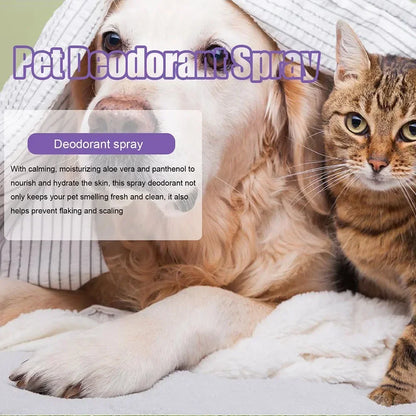 Natural Deodorizer