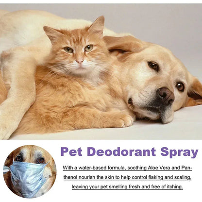 Natural Deodorizer