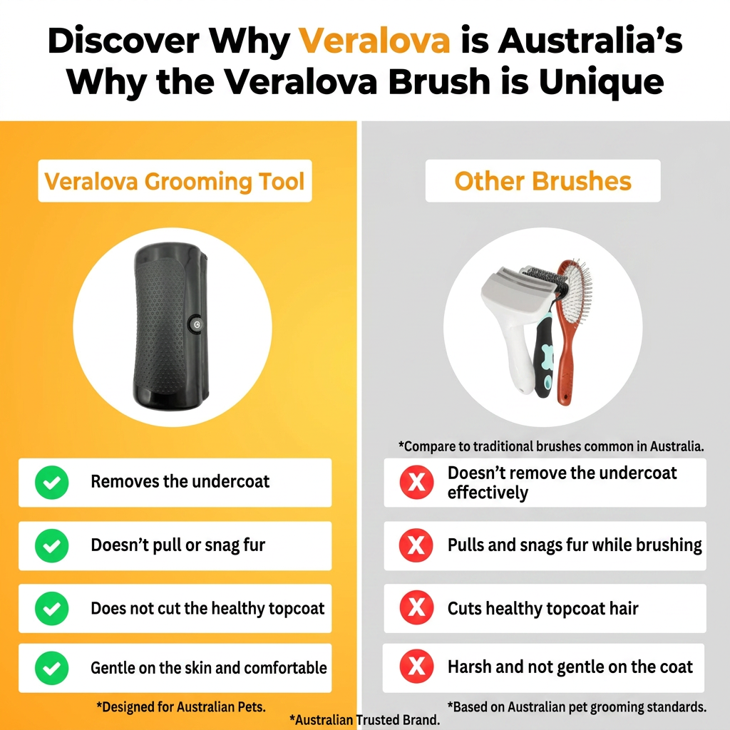 Fur Wonder Brush